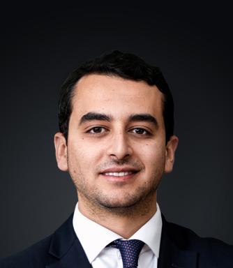 Hosni-Mehdi.jpg